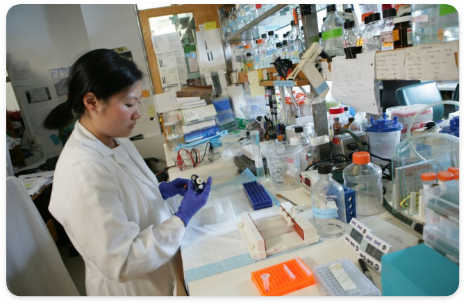 approval hasil laboratorium